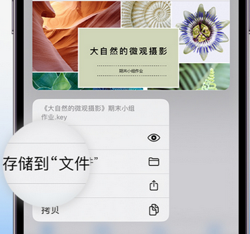 长倘口镇apple维修中心分享iPhone文件应用中存储和找到下载文件