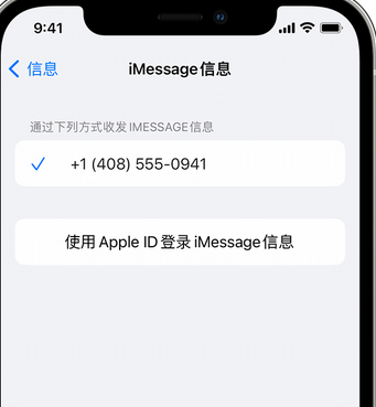 长倘口镇apple维修iPhone上无法正常发送iMessage信息 