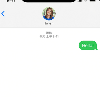 长倘口镇apple维修iPhone上无法正常发送iMessage信息