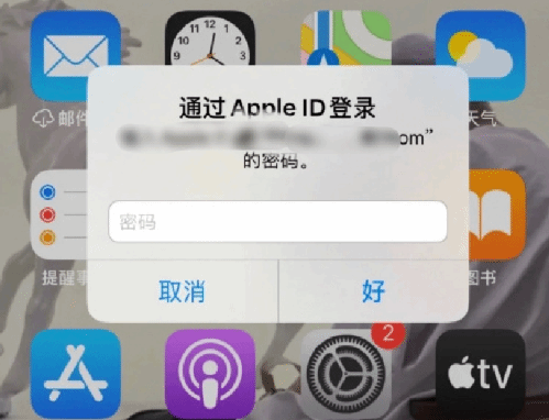 长倘口镇苹果设备维修分享无故多次要求输入AppleID密码怎么办 