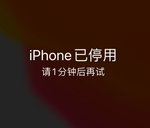 长倘口镇苹果手机维修分享:iPhone 显示“不可用”或“已停用”怎么办？还能保留数据吗？ 