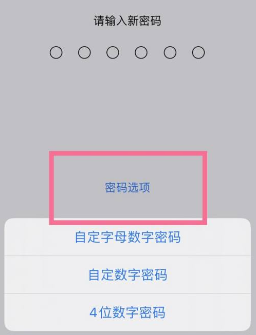 长倘口镇苹果14维修分享iPhone 14plus设置密码的方法 