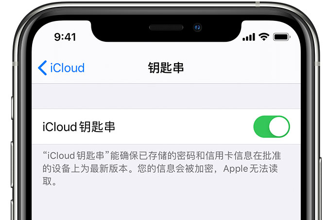 长倘口镇苹果手机维修分享在 iPhone 上开启 iCloud 钥匙串之后会储存哪些信息 