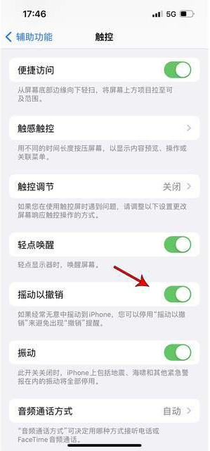 长倘口镇苹果手机维修分享iPhone手机如何设置摇一摇删除文字 