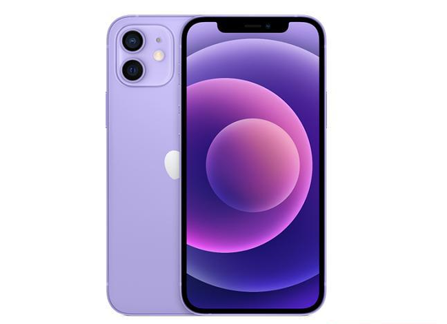 长倘口镇苹果手机维修分享现阶段要不要入手紫色版iPhone12 