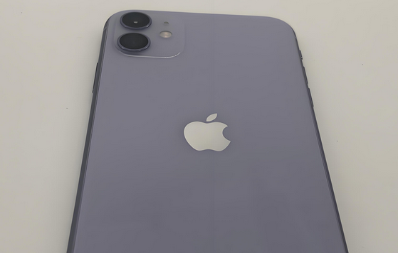 长倘口镇苹果11系统维修分享iPhone11手机系统崩溃无法开机如何解决 